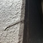 塗装後の部分補修をさせていただきました🧰